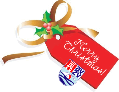 AVZV wenst iedereen fijne kerstdagen en een voorspoedig 2009